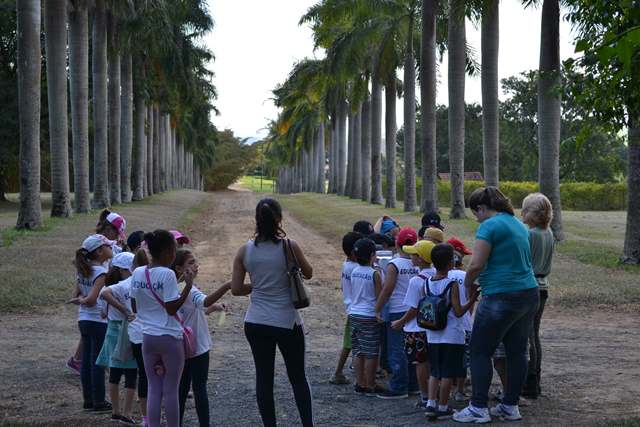 Capivari:Estudantes têm dia de aula em fazenda