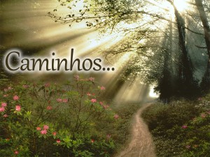 Encontrando o caminho…