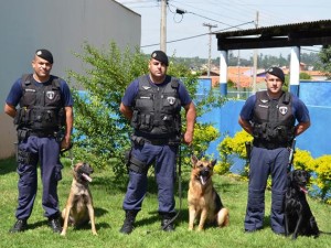 Capivari:Canil da Guarda Civil trabalha para melhoria na segurança na Cidade